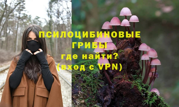 ALPHA PVP Инсар