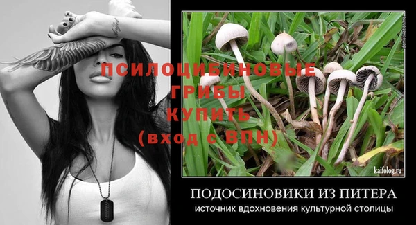 спайс Инта