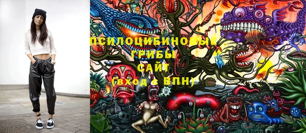 ALPHA PVP Инсар