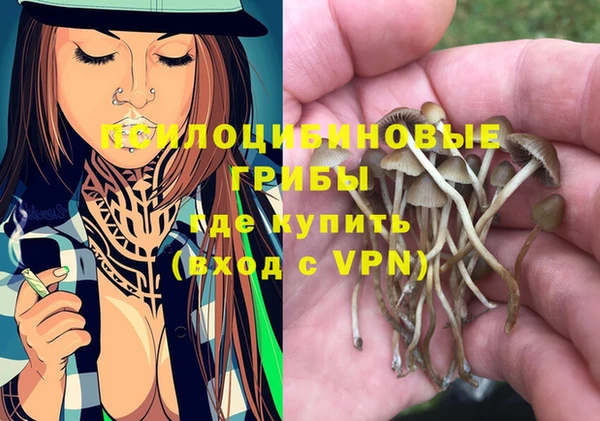 спайс Инта