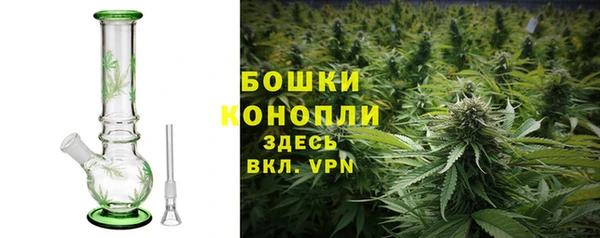 ALPHA PVP Инсар