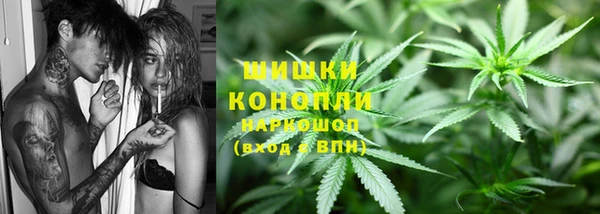 спайс Инта
