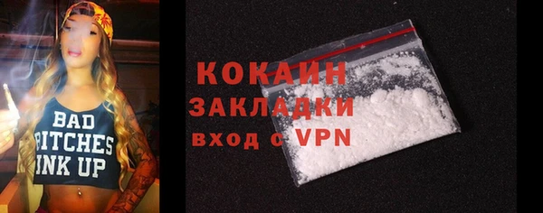 ALPHA PVP Инсар